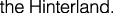 Polygon