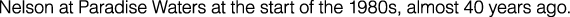 Polygon