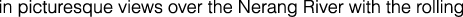 Polygon
