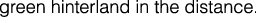 Polygon