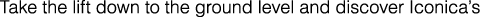 Polygon