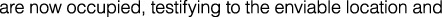 Polygon