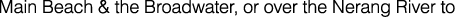 Polygon