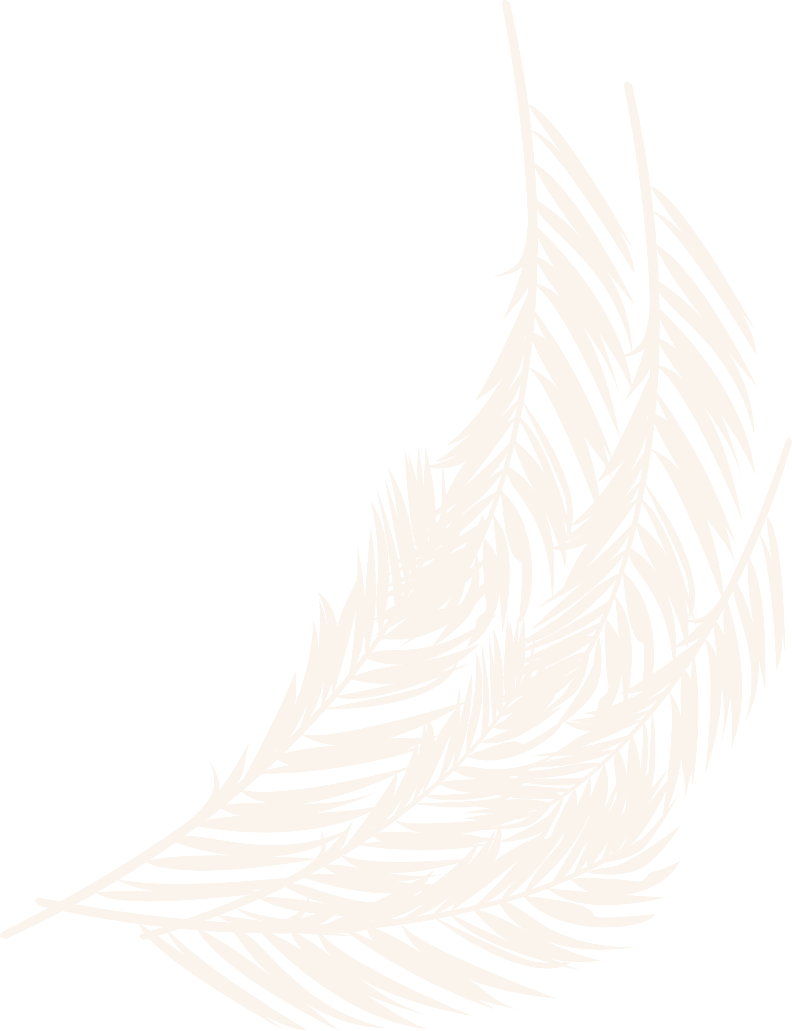 Polygon
