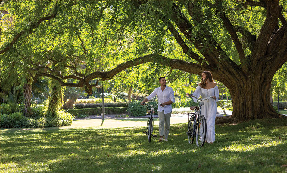 Two adults dressed in light clothing are walking bicycles under large, leafy trees in a sunlit park. Description generated by AI