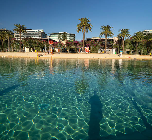 Clear turquoise water reflects palm trees and buildings along a sandy beach under a bright blue sky. Description generated by AI
