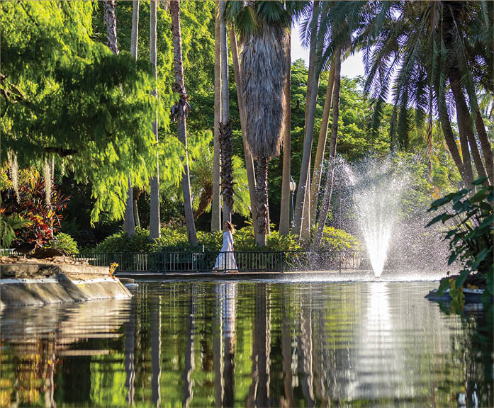 A person in a white dress walks along a path beside a pond with a water fountain surrounded by tall palm trees and lush greenery. Description generated by AI
