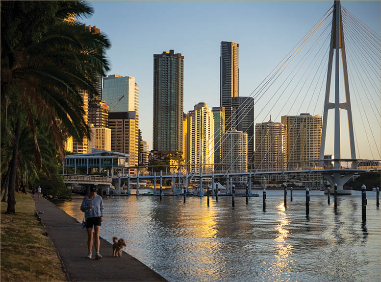 A person walking a small dog along a waterfront path with tall buildings and a cable-stayed bridge in the background during sunset. Description generated by AI