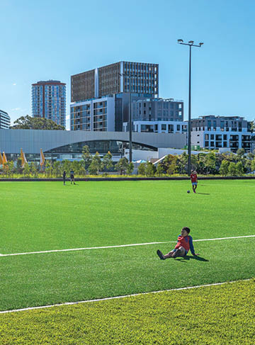 A soccer field with a white line. Description generated by AI