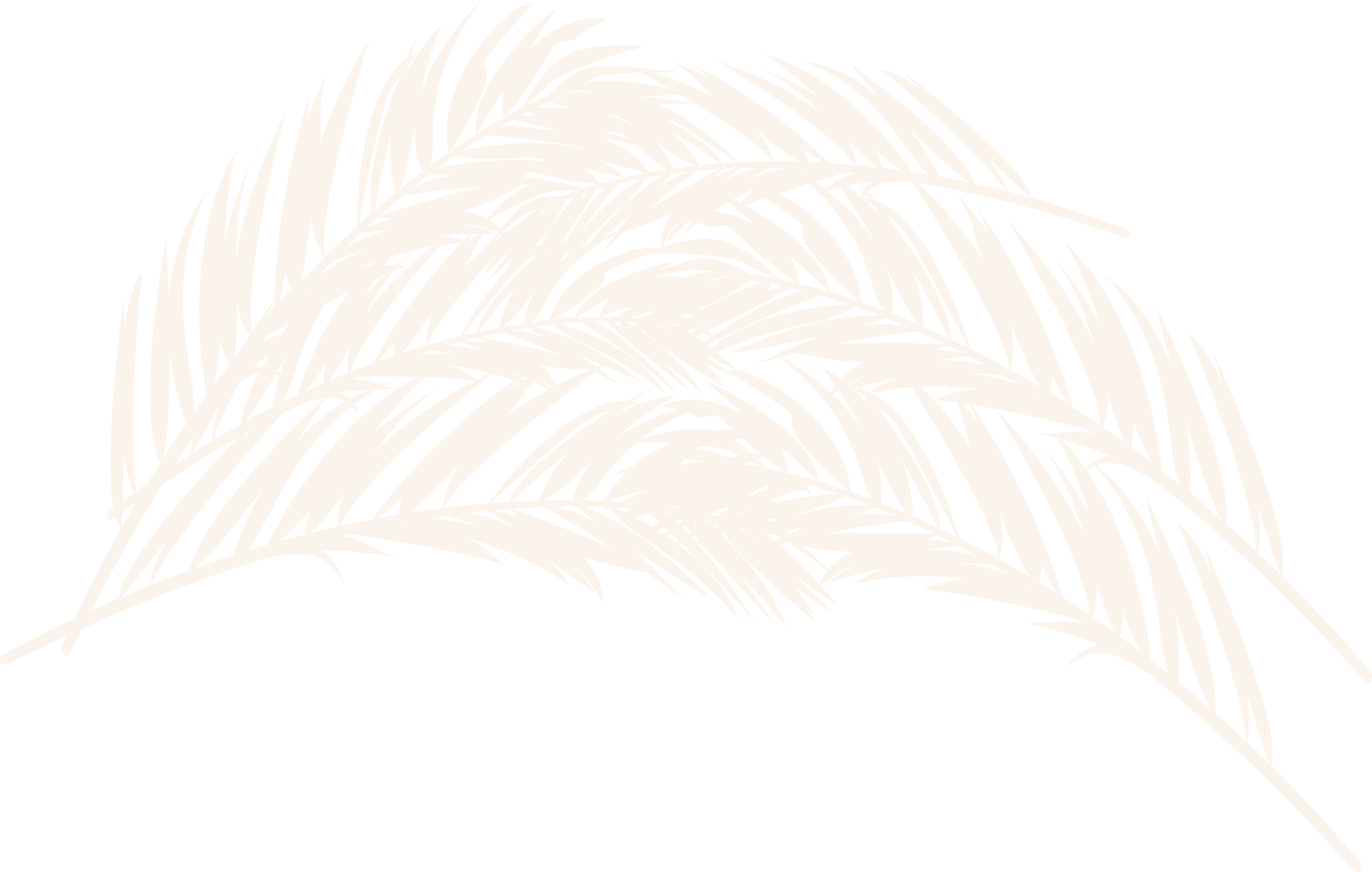 Polygon